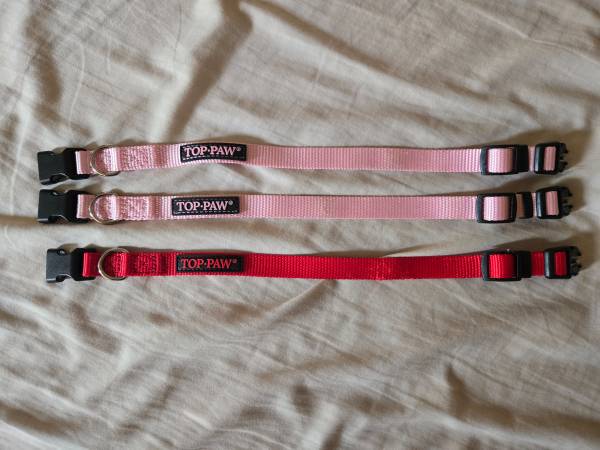 Small Puppy dog collars (Sacramento ca)63848769233153120