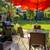 LUXURIOUS FURNISHED 4 ½ WITH PRIVATE TERRACE - PLATEAU 1 thumbnail
