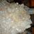 Arkansas Natural Quartz Crystal Large From Mount Ida Beautiful 12” X 8 3 thumbnail
