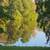 Waterfront property 6 thumbnail