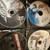 Large binder of DVD's! ~40 11 thumbnail