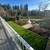 Master BR available - Beautiful house and neighborhood, huge balcony a 14 thumbnail