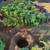 LAND CLEARING,TREE TRIMMING, GRASS CUTTING, BUSH TRIMMING, LANDSCAPING 18 thumbnail