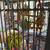 Big Bird Cage full set up........ 1 thumbnail