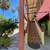 CASA LEE 16 thumbnail