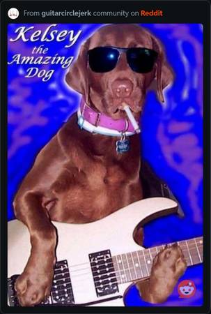 Looking to play and learn more about guitar with people (Munster)64285637636993120