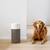 Blue Pure 311 Auto air purifier up 388 sq ft open box new 5 thumbnail