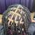 Decatur braider 3 thumbnail