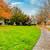 CALL & ASK HOW TO SAVE $500 - Maintained Landscape, Private Patios 12 thumbnail