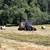 New Holland T6030 Delta Power Shift tractor and BR7090 round baler 1 thumbnail
