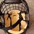 Youth Hockey Helmets - Size: Small - $15 Each! - 1 Left! 3 thumbnail