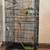 3 Parakeets with Cage & Toys 2 thumbnail