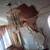 Painters, painting special each room 250 15 thumbnail