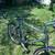 GIANT IGUANA cycles BIKE 26” wheel bicycle tall 22” frame 2 thumbnail