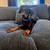 Doberman 1 thumbnail