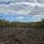 45.5 surveyed acres 3 thumbnail