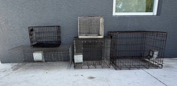 Cages 1