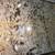 Marble Slabs countertops bathrrom kitchen 3 thumbnail