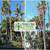 WEST HOLLYWOOD 🌳 Tree & Palm Service 🌴Trimming, Removal, Stump 🪵 13 thumbnail