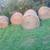 2nd Crop grass/clover hay 3 thumbnail
