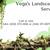 🟢EV PRO Landscaping Services. Fences, Trees, more. Experienced🟢 13 thumbnail