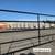 ☑️ Round Pens/ Livestock panels (Salem Delivery Sunday Sep. 28th) 13 thumbnail