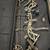 Bear Cruzer G2 Compound Bow Complete Setup 3 thumbnail