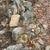 FREE ROCKS FOR THE PICKING AND TAKING 1 thumbnail