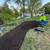 DIVINO LANDSCAPING AND TREE SERVICES 16 thumbnail
