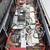 1987 Mitsubitshi Mighty Max Pick Up Truck EV Conversion 4 thumbnail