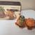 Chris Madden Harvest Salt & Pepper Set Shakers Pumpkins 1 thumbnail