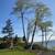 FRANCISCO LANDSCAPING SERVICES 23 thumbnail