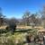 80 Acres Near Lake Oroville 21 thumbnail