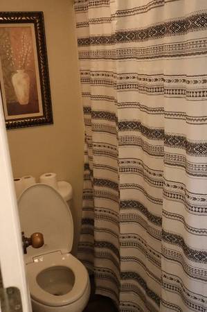$1000.00 / 1br - Wintergreen Mountain Resort Condo for rent63851969504257121
