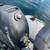 Dinghy 2006 w/ steering wheel-electric start-much more 4 thumbnail