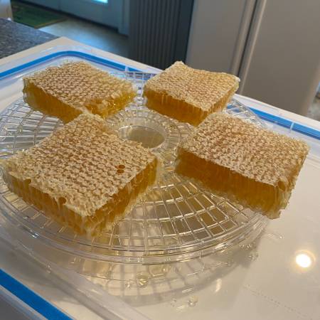 Cut-Comb Honey 1