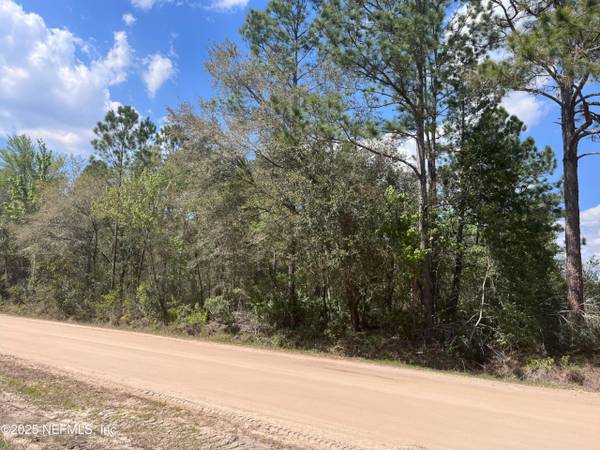 5 acres of high and dry tranquil Florida 1