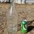 Winemaking Bottles 1 thumbnail