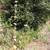Lots with panoramic view of Lake Wohlford 19 thumbnail