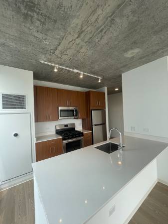 $2,300 / 1br - 805ft2 - Amazing 1 bed with washer/dryer, hardwood floors, and pool (South Loop)64041643770114121