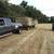 Bermuda hay 2 thumbnail