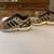 Adidas Torsion 8.5 Sneakers, Bean Boots by LL Bean - Size 10 Medium 1 thumbnail