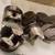 Chevy GM 396 BBC 030 Cast 21cc Dome Piston Set 1965-69 Big Block 4.124 5 thumbnail