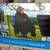 NiB - insulated sport blanket / poncho / chair liner / pillow / cushon 1 thumbnail