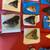 Fossil Shark Tooth Sale Every Day from 1-5pm in Turlock 11 thumbnail