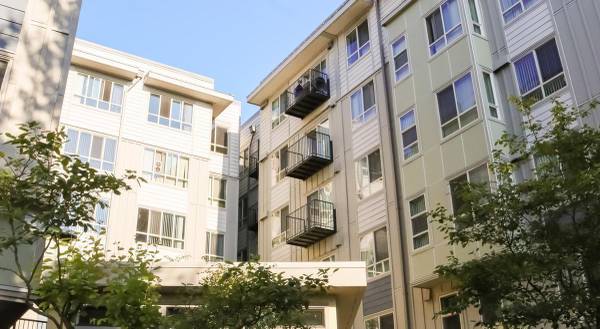 $1,150 / 390ft2 - Gorgeous Homes Ready For Move In! 6 Weeks Free Rent! (Bitter Lake)63852580588161124