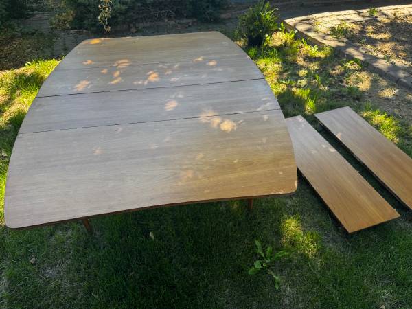 Mid Century Modern table 1