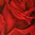 Red Rose hanging frame 3 thumbnail