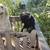 Standard poodle for rehoming 4 thumbnail