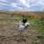 Free Used Coop with 4+ Starter Pullet / hen purchase 4 thumbnail